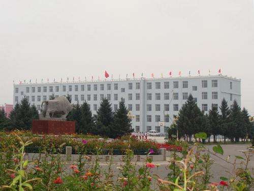 肇庆农业学校800KW康明斯发电机组